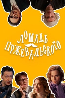 Сериал Лошадь Пржевальского.