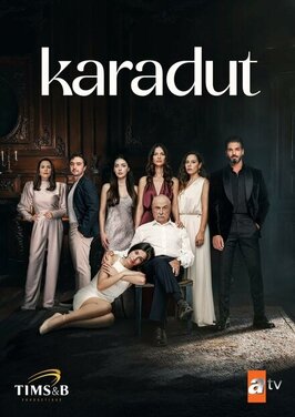 Сериал Чёрная шелковица.
