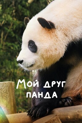 Фильм Мой друг панда.
