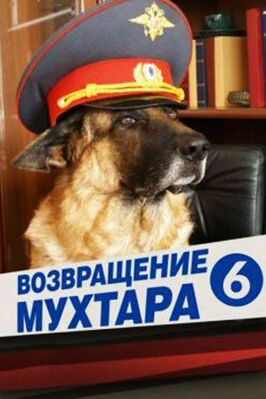 Сериал Возвращение Мухтара 6.