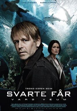 Фильм Варг Веум 8 — Черная овца.