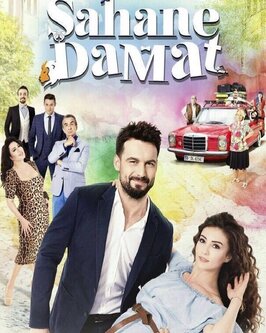 Сериал Замечательный зять.