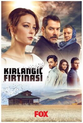 Сериал Шторм ласточки.