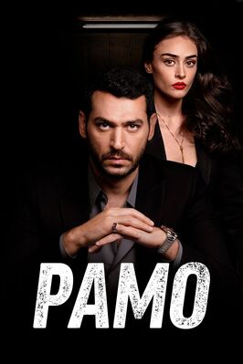 Сериал Рамо.