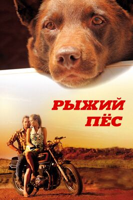 Фильм Рыжий пес.