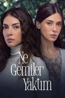 Сериал Какие корабли я сжёг.