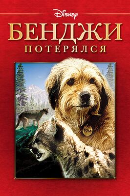 Фильм Бенджи потерялся.