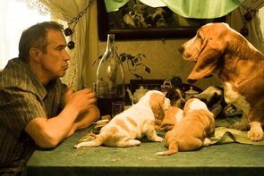 Фото из сериала 9 месяцев (2006)