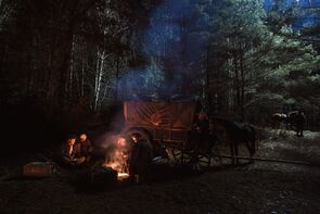 Фото из сериала Алёша (2020)
