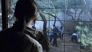 Фото из фильма Аран (2006)