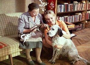 Фото из фильма Белый Бим Черное ухо (1977)