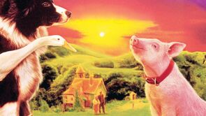 Фото из фильма Бэйб: Четвероногий малыш (1996)