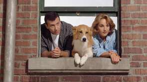 Фото из сериала Без ума от тебя (1992)