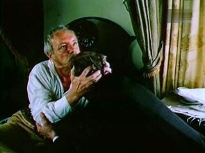 Фото из сериала Благородный разбойник Владимир Дубровский (1990)
