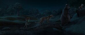 Фото из мультфильма Братва из джунглей (2013)