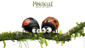 Фото из мультфильма Букашки 2 (2019)