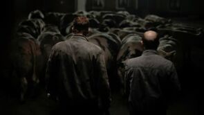 Фото из фильма Бычара (2011)