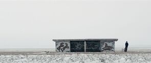 Фото из фильма Чайки (2015)