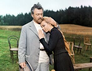 Фото из фильма Чайка (1972)
