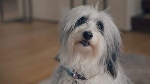 Фото из сериала Человек против пчелы (2022)
