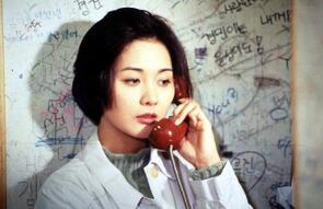Фото фильма День, когда свинья упала в колодец 1996.