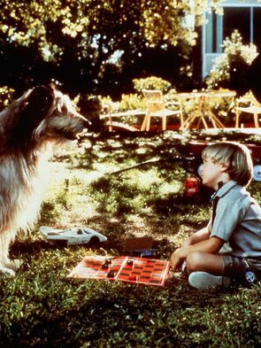 Фото из фильма Дэннис-мучитель (1987)