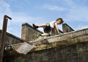Фото из фильма Деревенские крокодилы (2009)