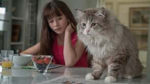 Фото из фильма Девять жизней (2016)