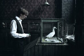 Фото из фильма Доброе сердце (2009)