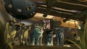 Фото из мультфильма Дух живого леса (2011)