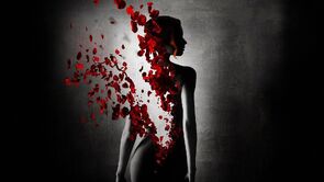 Фото из фильма Парфюмер: История одного убийцы (2006)