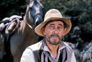 Фото из сериала Дымок из ствола (1955)