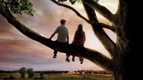 Фото из фильма Привет, Джули! (2010)