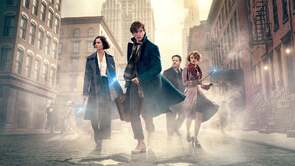 Фото из фильма Фантастические твари и где они обитают (2016)