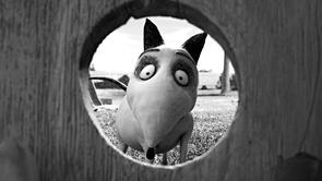 Фото из мультфильма Франкенвини (2012)