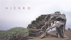 Фото из сериала Иерро (2019)
