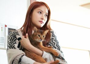 Фото из фильма Как расстаться с кошкой (2016)