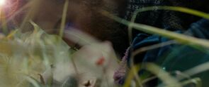 Фото из фильма Кино про Алексеева (2014)