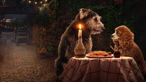 Фото из фильма Леди и Бродяга (2019)