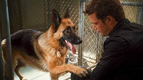 Фото из мультфильма Кошки против собак: Месть Китти Галор (2010)