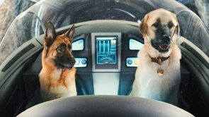 Фото из мультфильма Кошки против собак: Месть Китти Галор (2010)