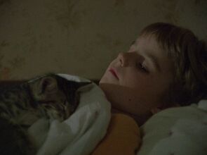 Фото из фильма Котенок (1997)