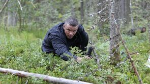 Фото из сериала Кремень (2012)