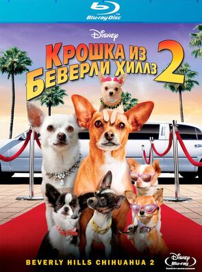 Фото из фильма Крошка из Беверли-Хиллз 2 (2011)