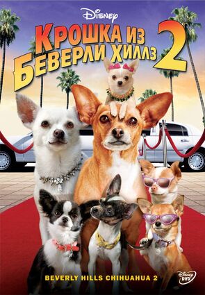 Фото из фильма Крошка из Беверли-Хиллз 2 (2011)
