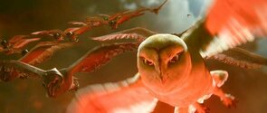 Фото из мультфильма Легенды ночных стражей (2010)