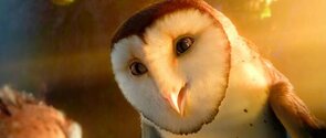 Фото из мультфильма Легенды ночных стражей (2010)