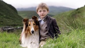 Фото из фильма Лэсси (2006)