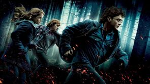 Фото фильма Гарри Поттер и Дары Смерти: Часть I 2010.