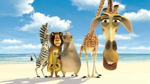 Фото из мультфильма Мадагаскар (2005)
